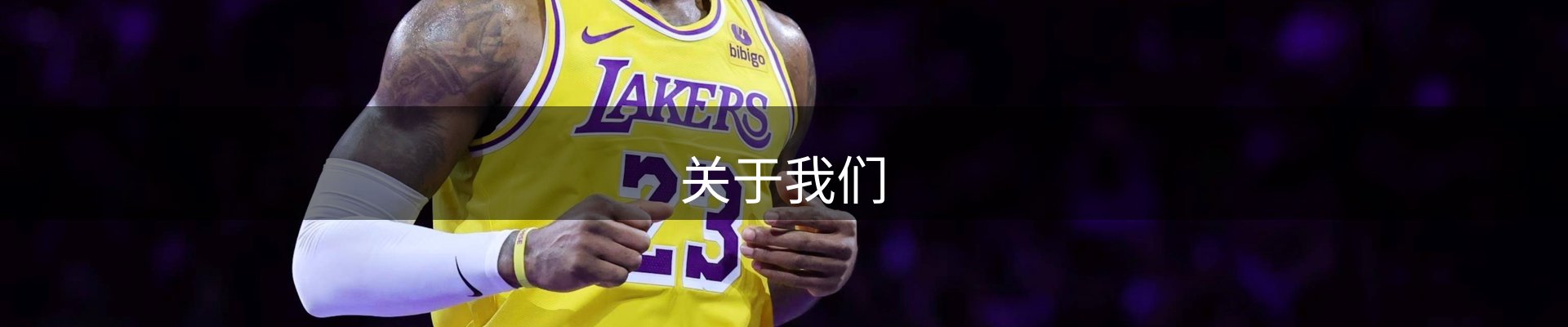 关于我们