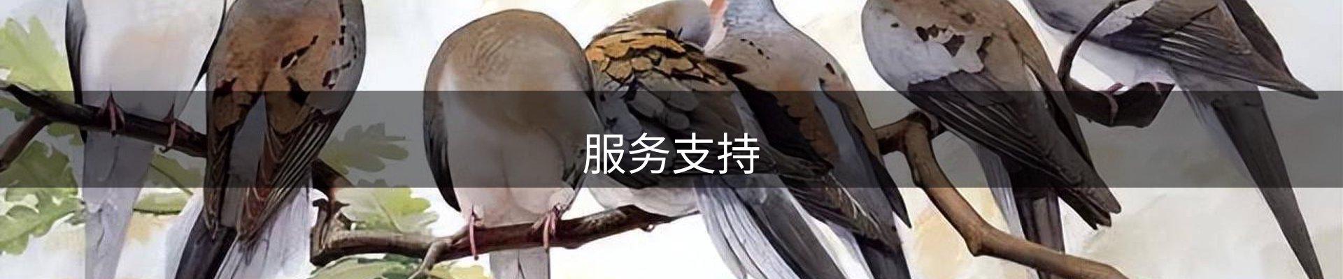 服务支持